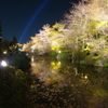 清水寺　池