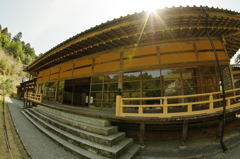 山口市　寺