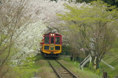 トロッコ電車