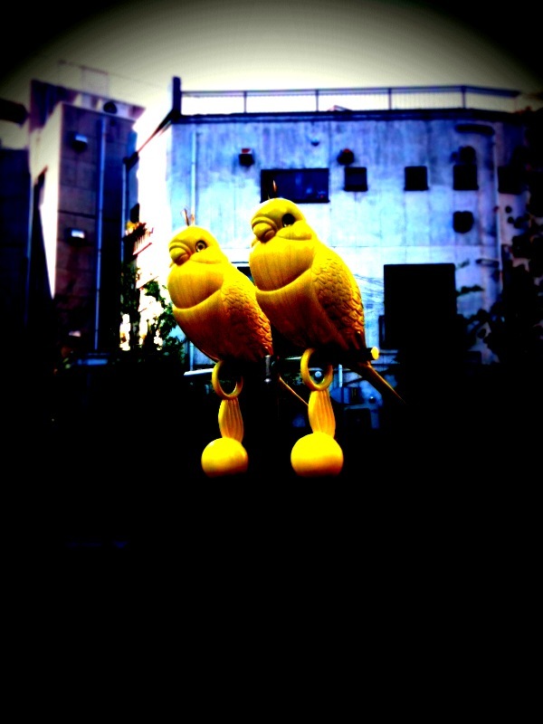 街のインコ