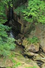 IMG_9204