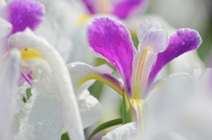 IMG_8695