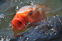  海の中道 海浜公園