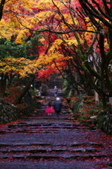 紅葉参道