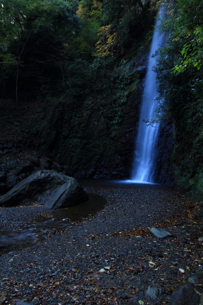 養老の滝