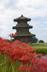 山城と彼岸花