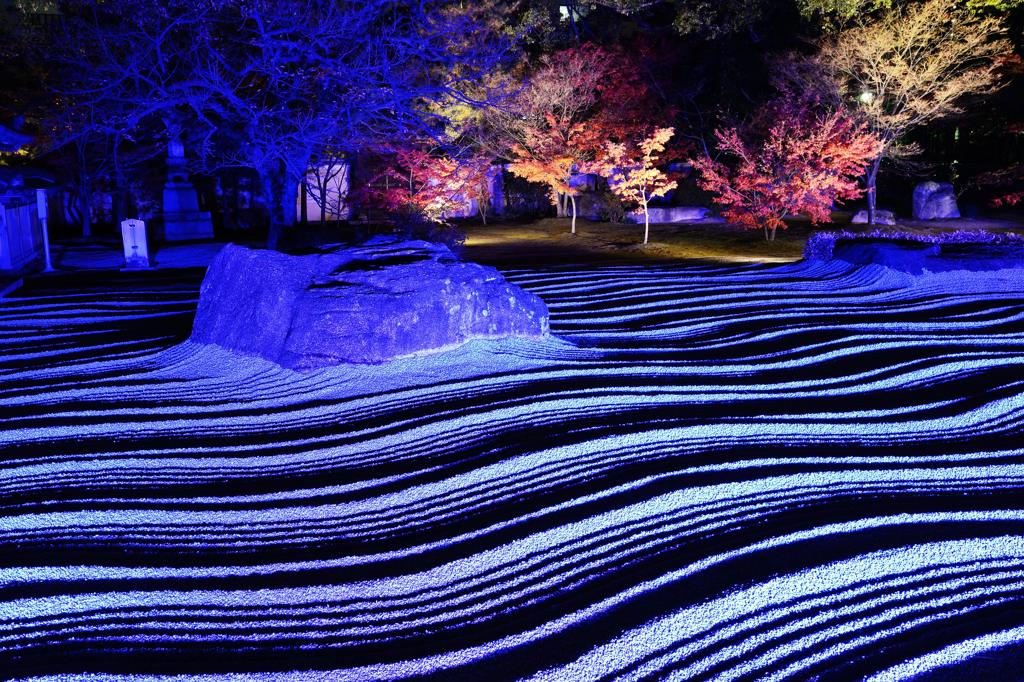 承天寺の庭（ブルーライト）