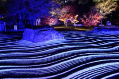 承天寺の庭（ブルーライト）