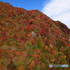 雲仙の紅葉