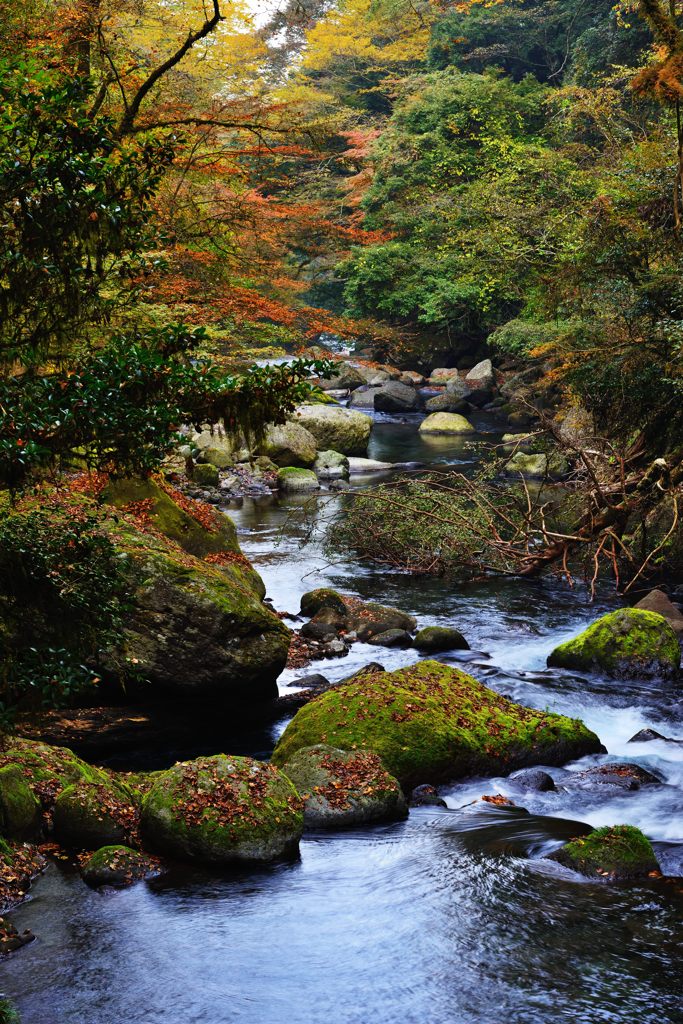 菊池渓谷その２＃１