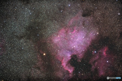 D800による北アメリカ星雲