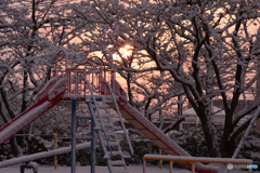 夜が明けたら