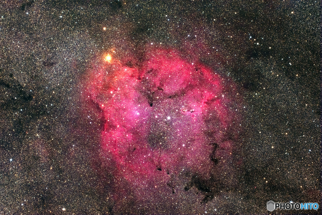 IC1396　再処理