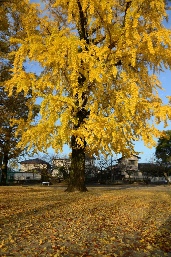 水影神社