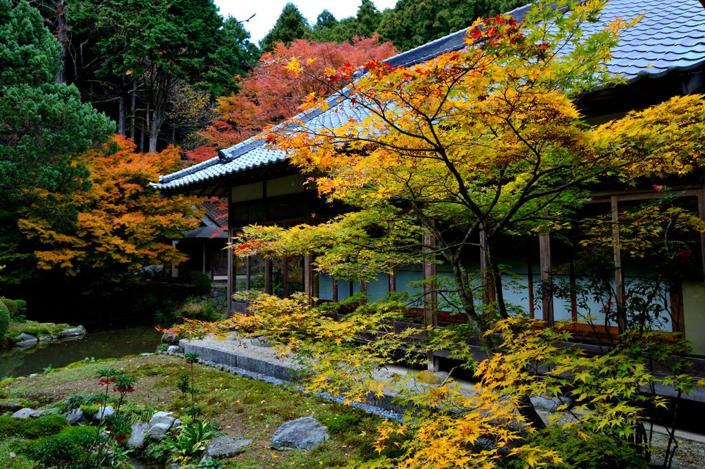 雷山千如寺大悲王院＃5