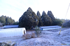 里山