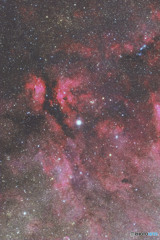 白鳥座γ星付近の星雲（サドル再処理）