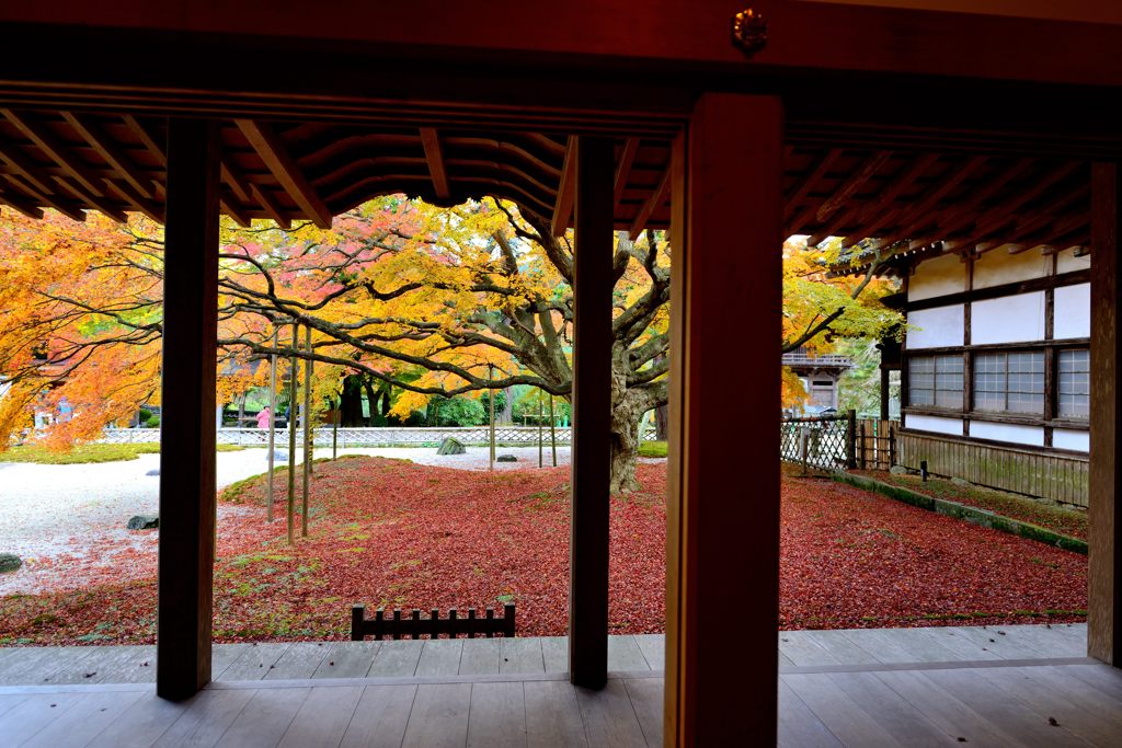 雷山千如寺大悲王院＃7