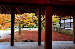雷山千如寺大悲王院＃7