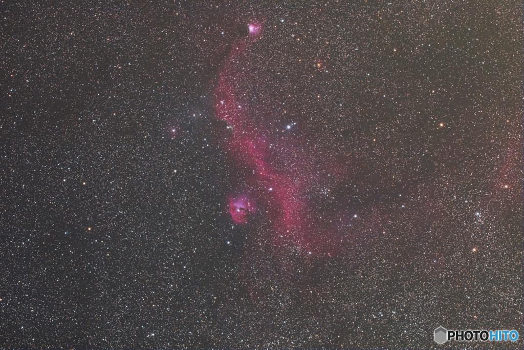 カモメ星雲（IC2177）