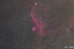 カモメ星雲（IC2177）