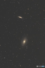 M81　M82（おおぐま座）