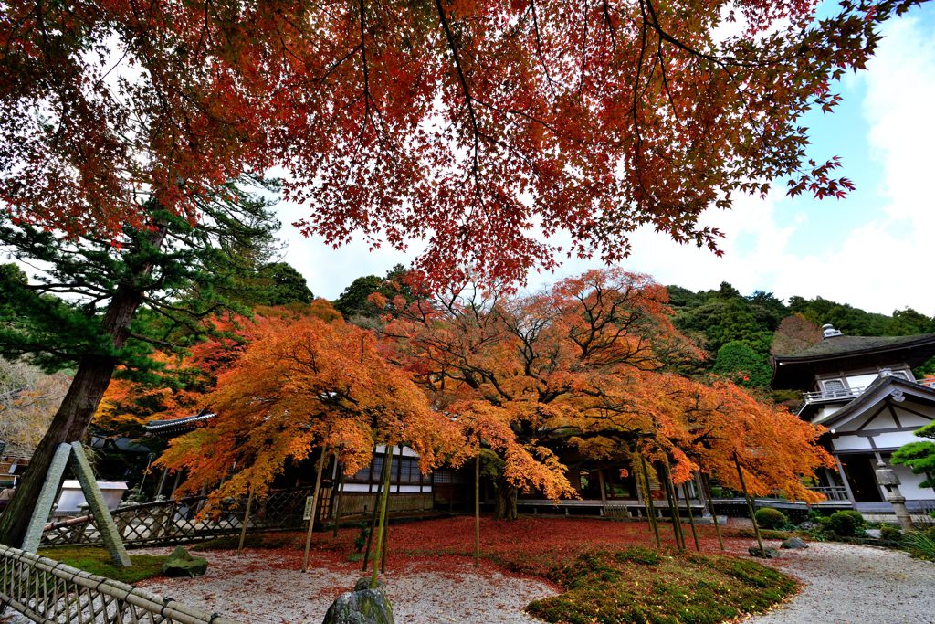 雷山千如寺大悲王院＃4