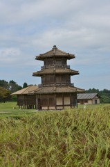 山城と赤米