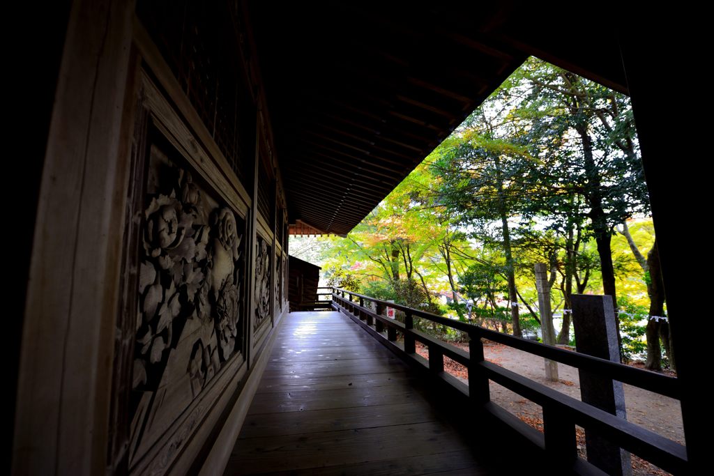 雷山千如寺大悲王院＃10
