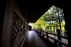 雷山千如寺大悲王院＃10