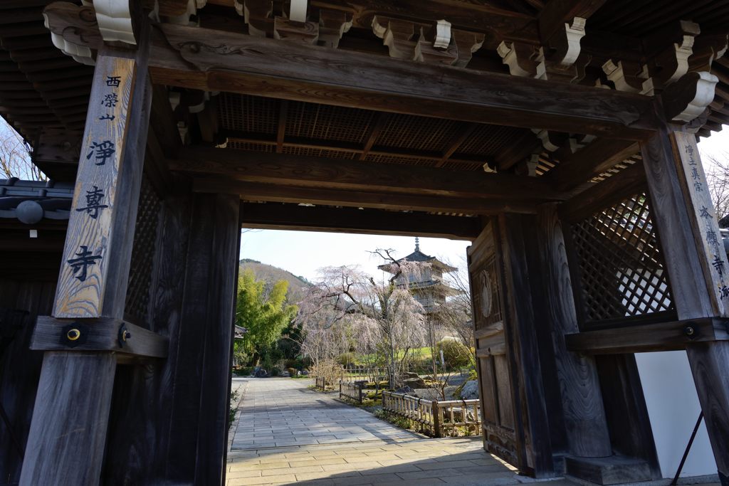 浄専寺＃１