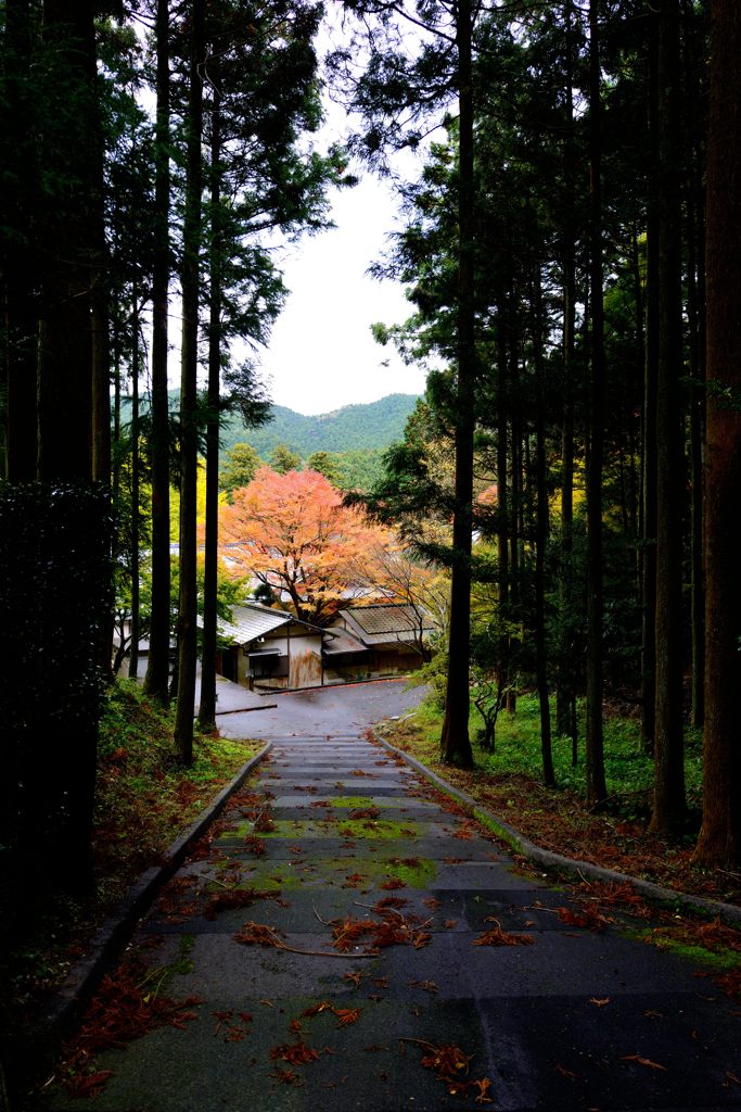 雷山千如寺大悲王院＃2