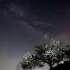 銀河と天空桜
