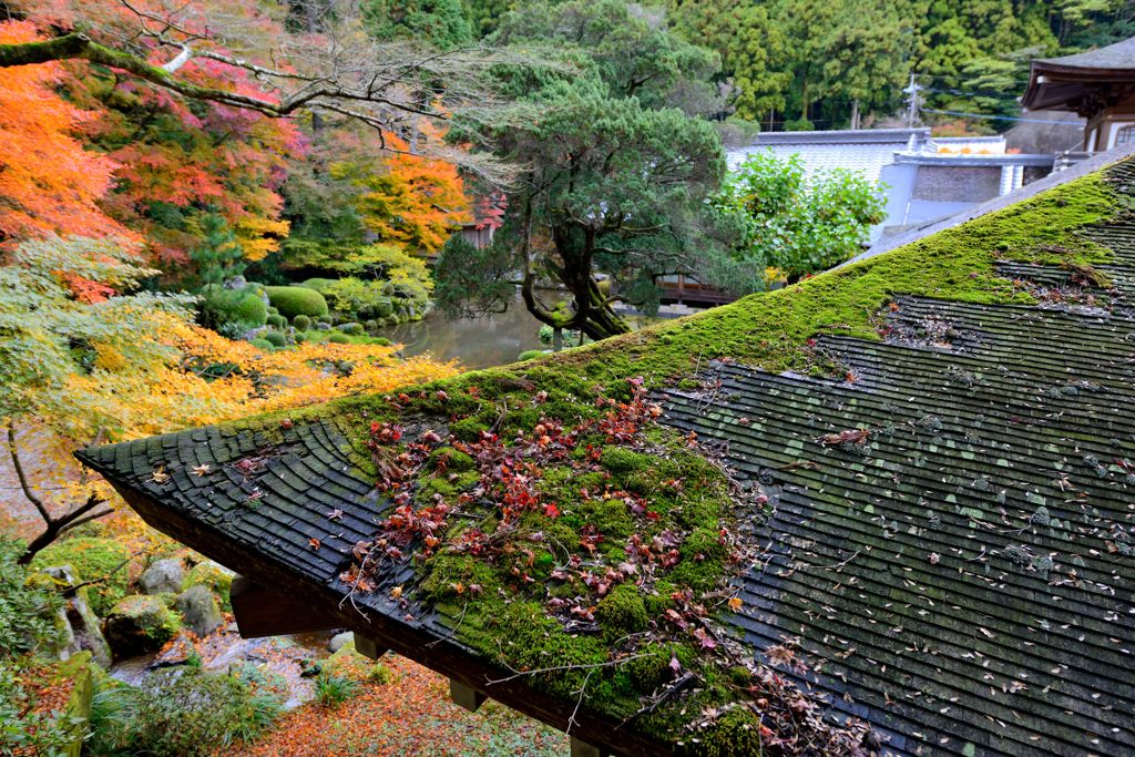 雷山千如寺大悲王院＃12