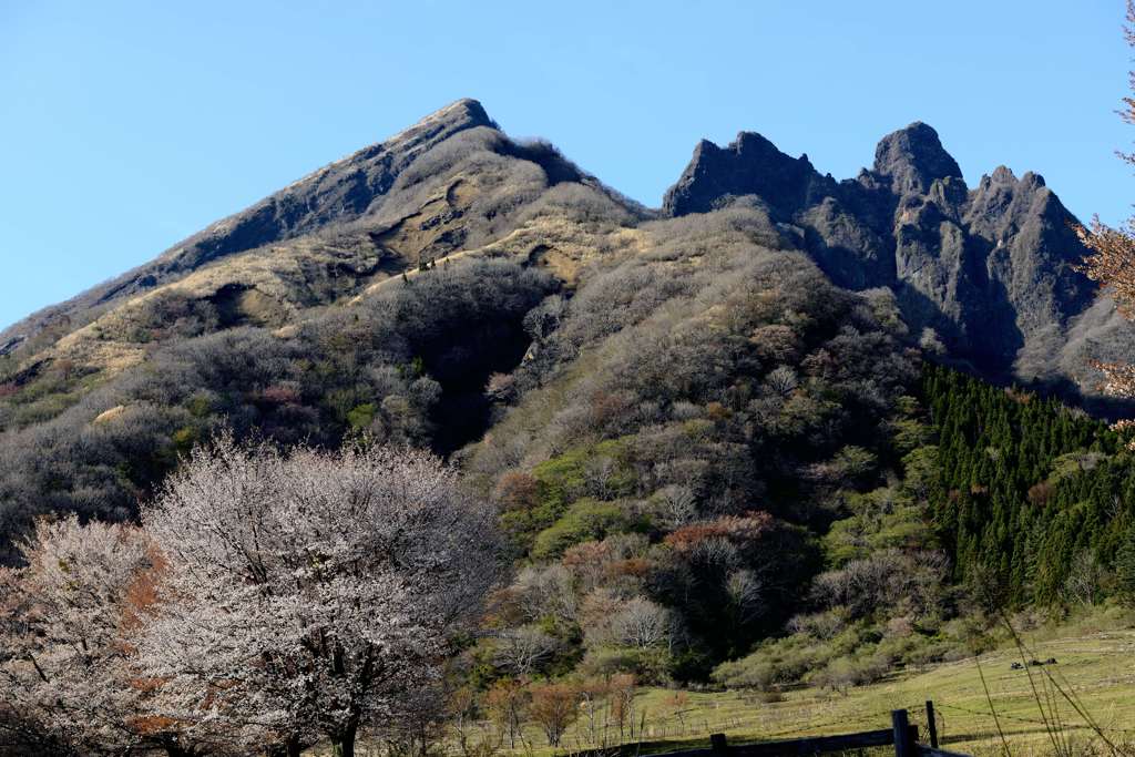 阿蘇　根子岳　鍋が平キャンプ場