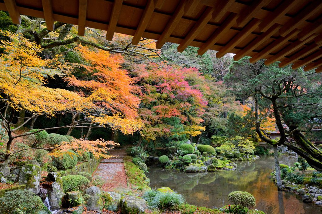 雷山千如寺大悲王院＃8