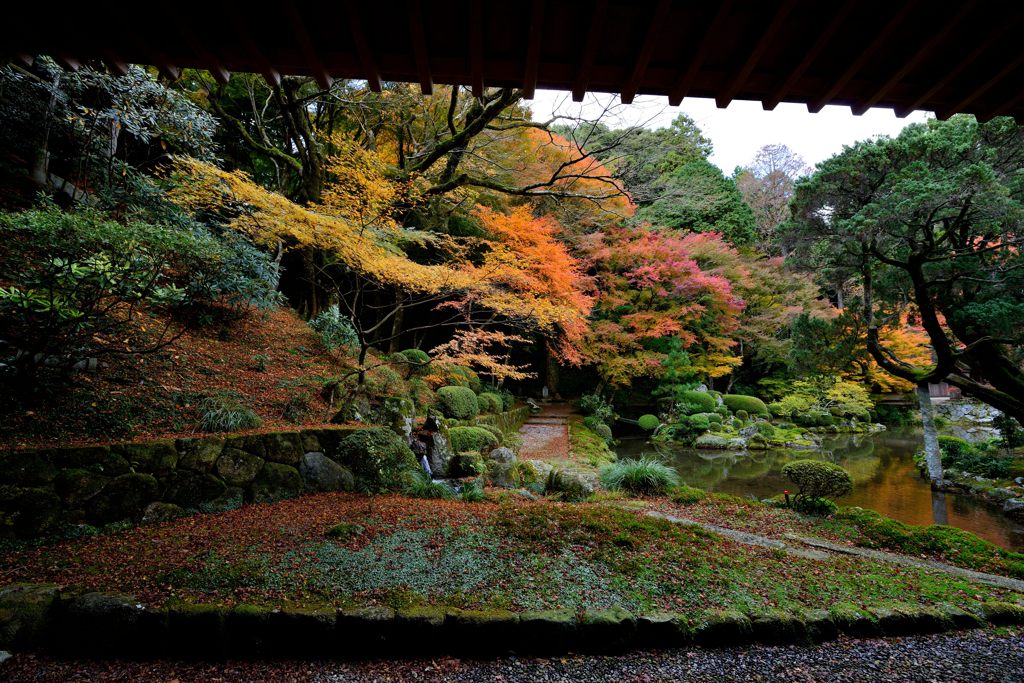 雷山千如寺大悲王院＃9