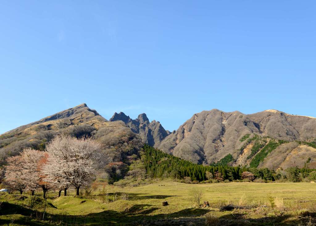 根子岳の春