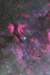 白鳥座γ星付近の星雲（再処理）