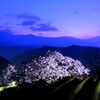 夜明けの天空桜
