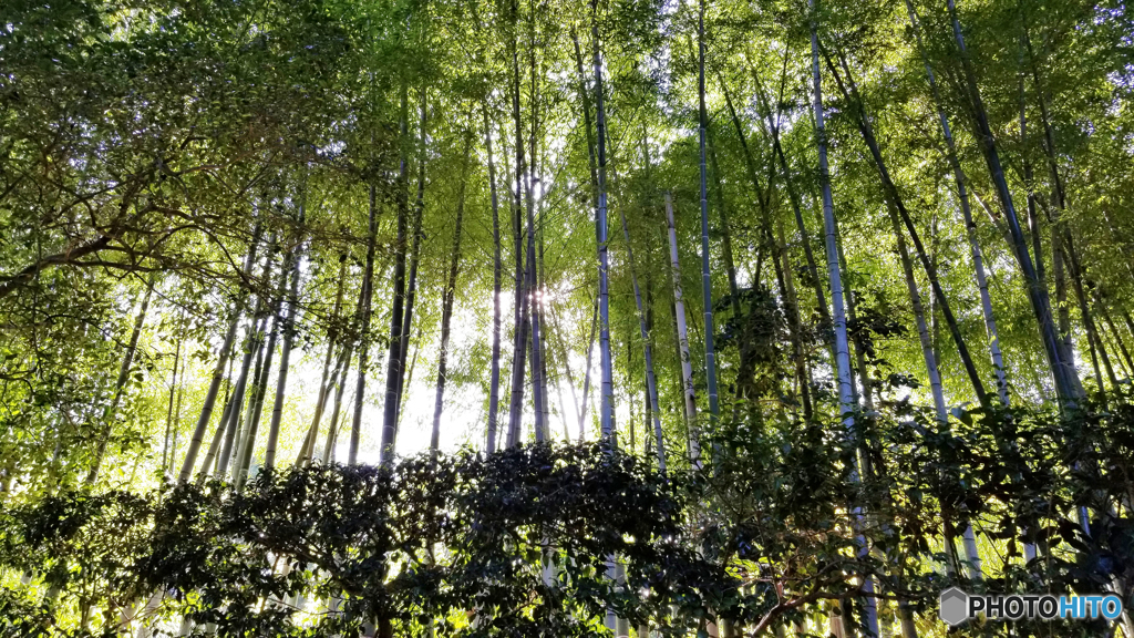後楽園②