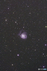 M101（おおぐま座）
