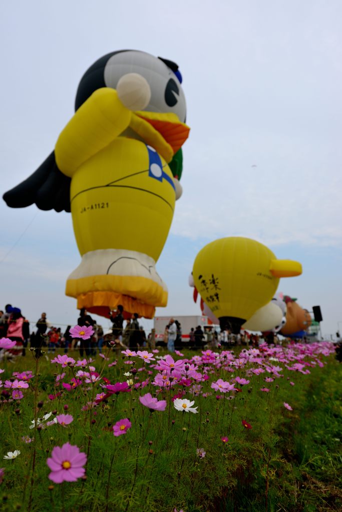 バルーンフェスタ＃１２