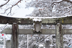 鳥居