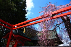 榴ヶ岡天満宮