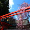 榴ヶ岡天満宮