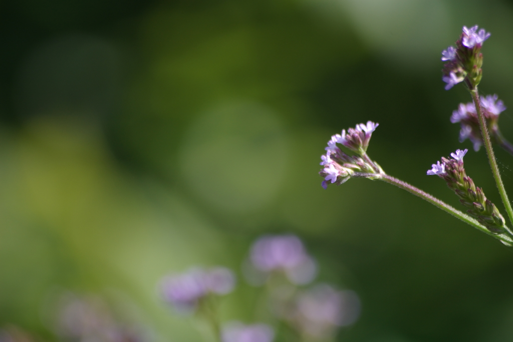 なにげない瞬間