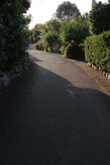 斜光
