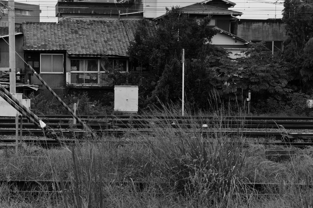沿線の民家