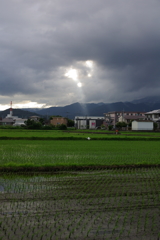 光